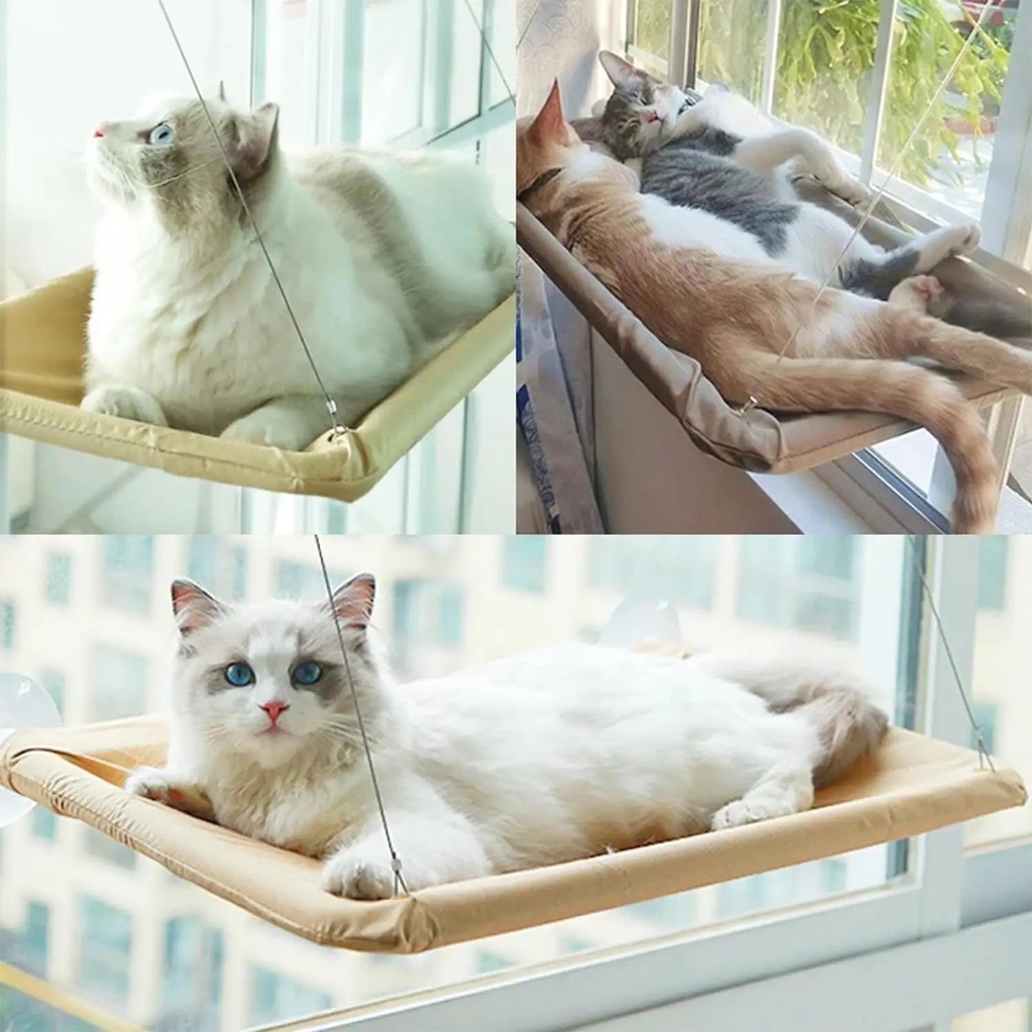 SunnyPaws: Window-Mounted Cat Hammock Bed with Heavy-Duty Suction Cups